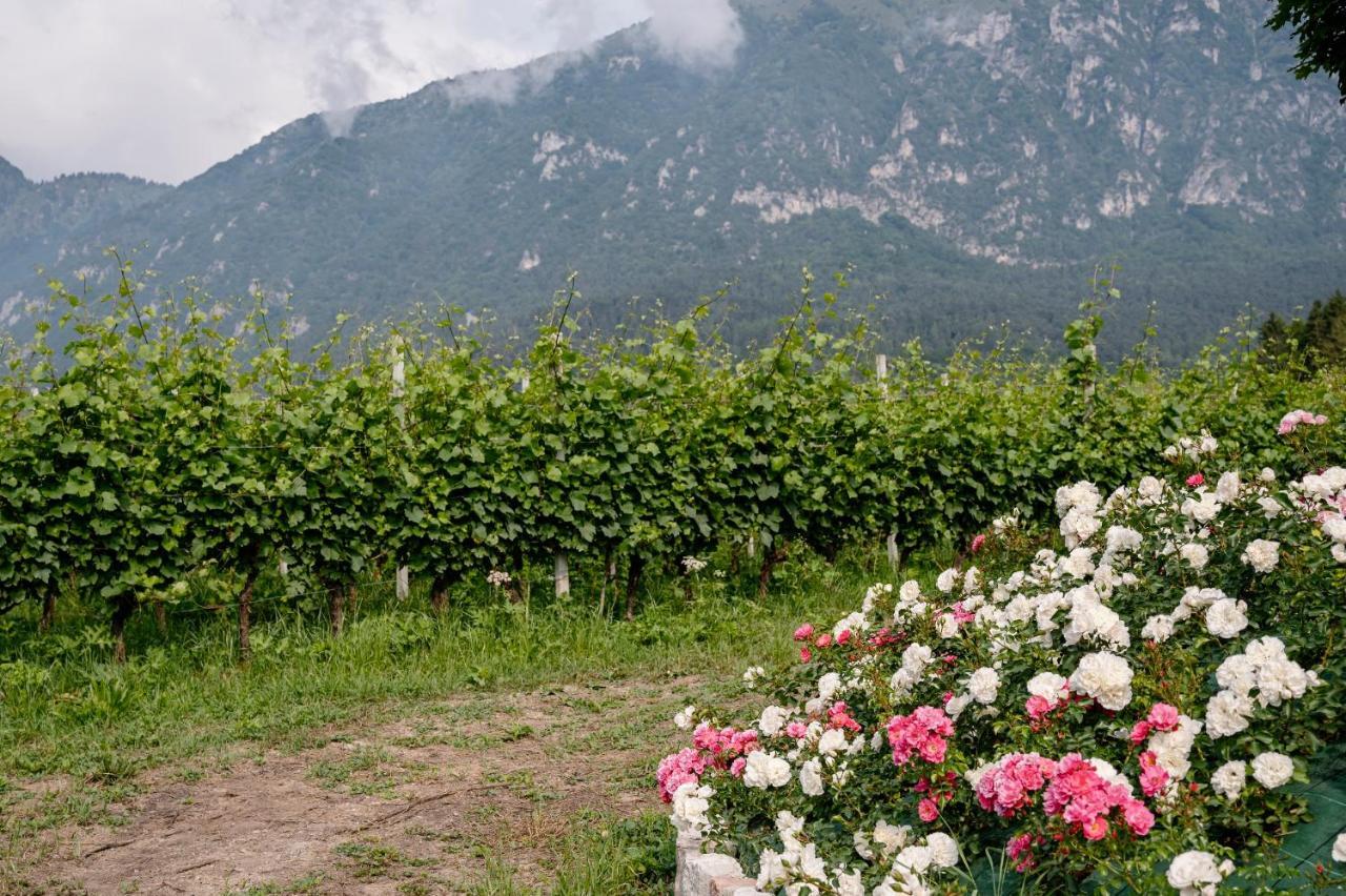 Agritur Maso Alle Rose B&B E Restaurant Balbido-rango Eksteriør bilde