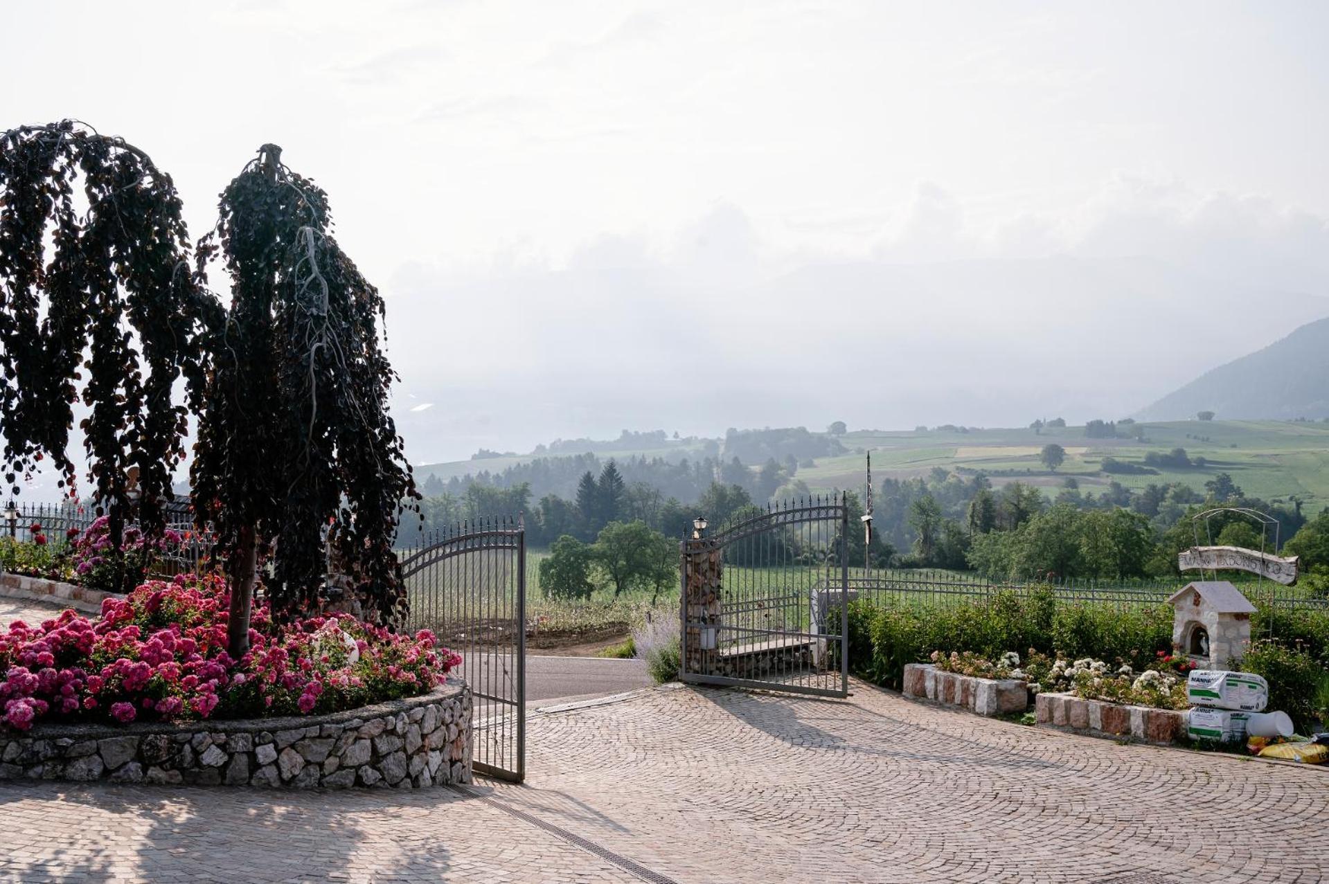 Agritur Maso Alle Rose B&B E Restaurant Balbido-rango Eksteriør bilde