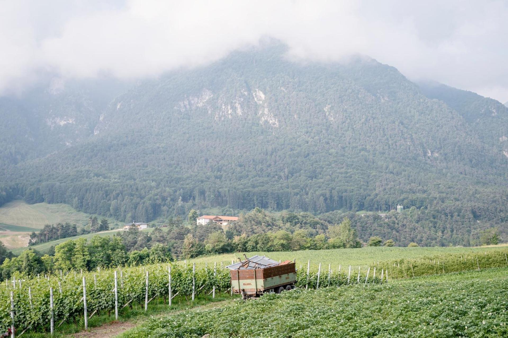 Agritur Maso Alle Rose B&B E Restaurant Balbido-rango Eksteriør bilde