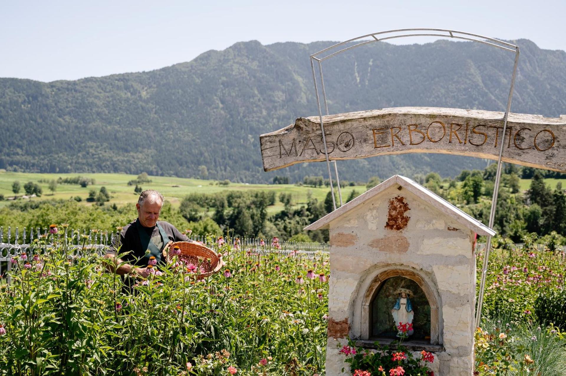 Agritur Maso Alle Rose B&B E Restaurant Balbido-rango Eksteriør bilde