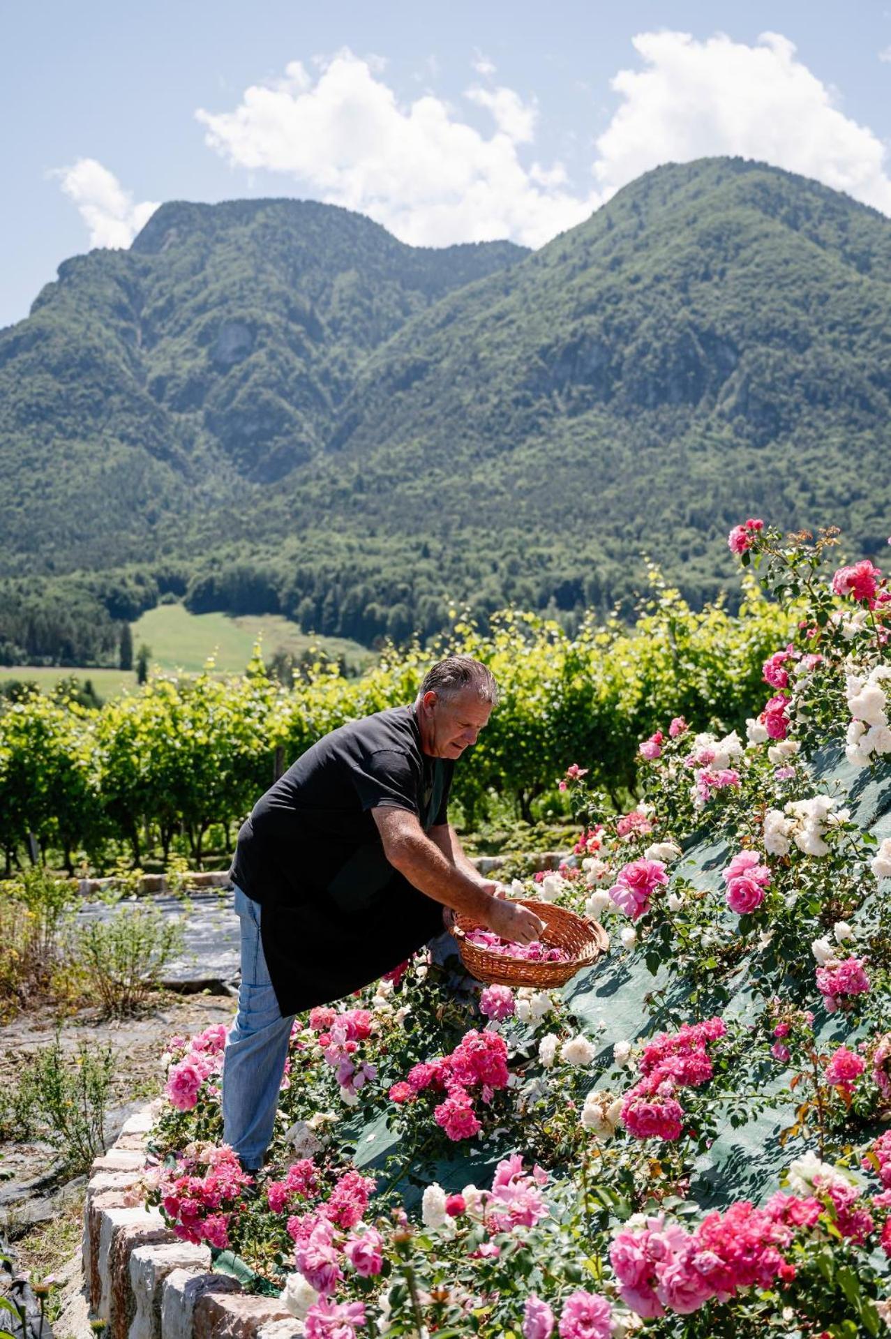 Agritur Maso Alle Rose B&B E Restaurant Balbido-rango Eksteriør bilde